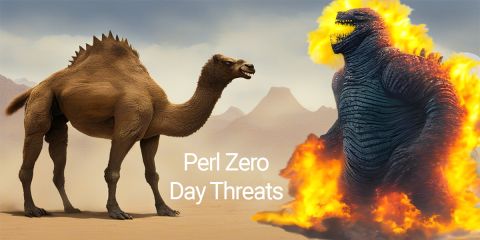 Blog - Perl Zero Day Threats